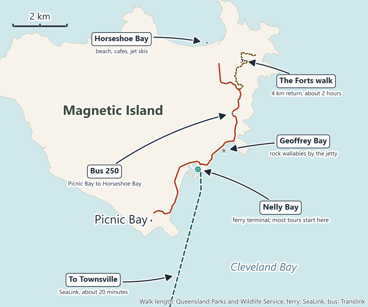Map of a Magnetic Island day trip from Townsville: the SeaLink ferry to Nelly Bay, bus 250 from Picnic Bay through Nelly Bay to Horseshoe Bay, Geoffrey Bay where rock wallabies sit by the jetty, and the Forts walk, 4 km return