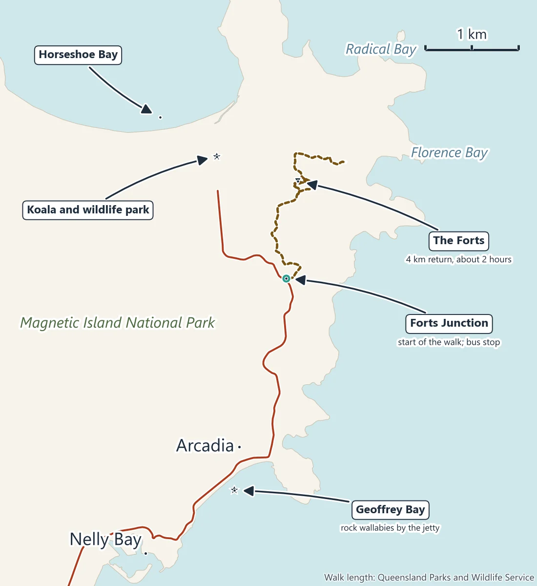 Map of where to see koalas on Magnetic Island: the Forts walk from Forts Junction up to The Forts, 4 km return, the koala and wildlife park at Horseshoe Bay, and Geoffrey Bay at Arcadia where rock wallabies sit by the jetty