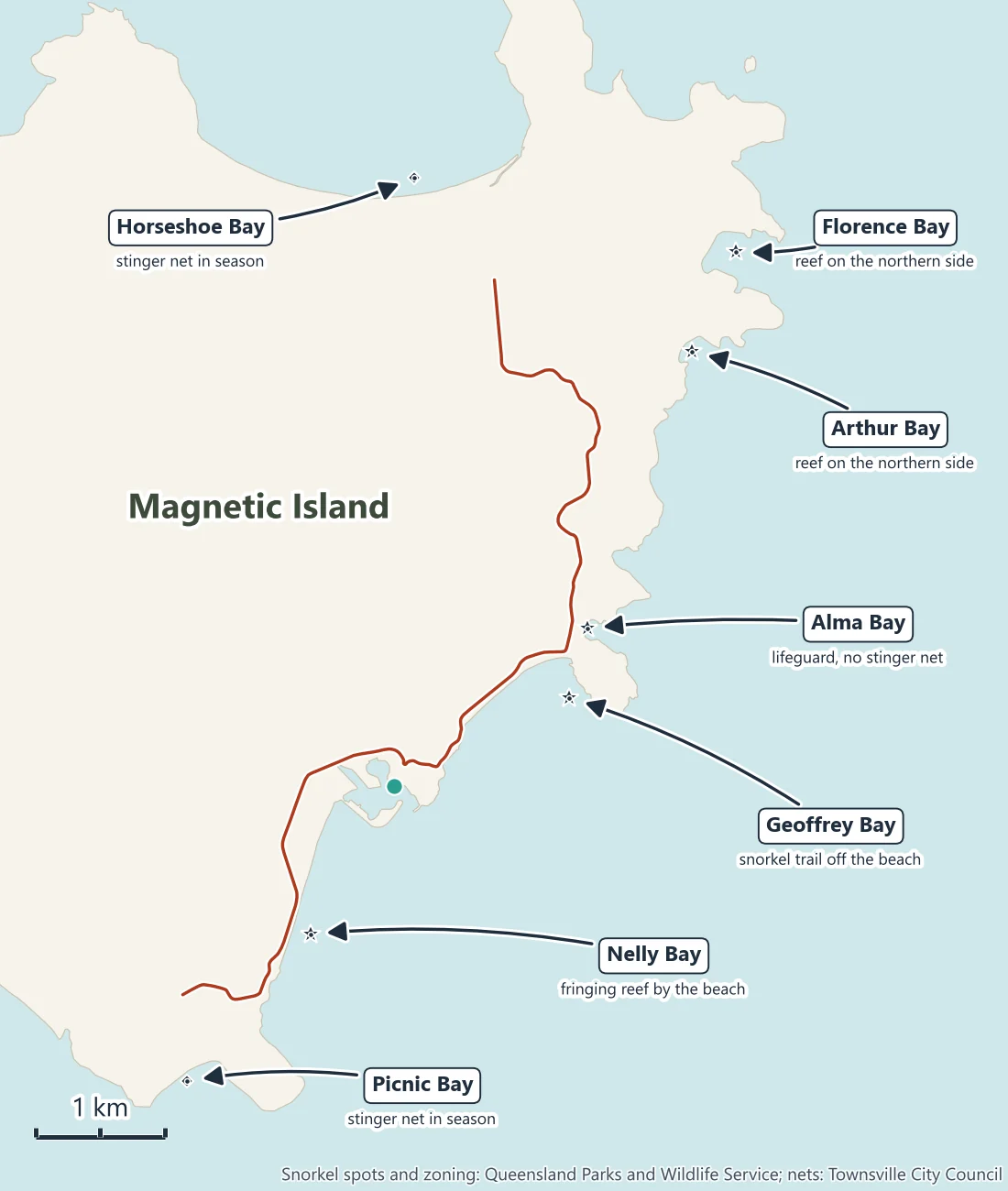 Map of snorkelling on Magnetic Island: Florence Bay and Arthur Bay with reef on their northern sides, Alma Bay with a lifeguard and no stinger net, the Geoffrey Bay snorkel trail, the fringing reef at Nelly Bay, and the stinger nets at Picnic Bay and Horseshoe Bay